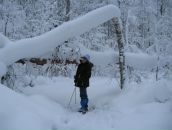 Фотография Бондаренко Елены