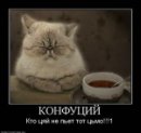 Євгений Демчук фотография #34 (источник - https://vk.com/id30908181)