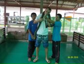 Алексей Латыпов фотография #36 (источник - https://vk.com/id3498463)