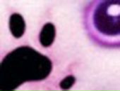 Айгуль Зарипова фотография #43 (источник - https://vk.com/id3670147)