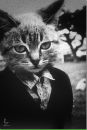 Фотография Литвиновой Анжелы