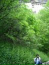 Ali Kutay фотография #17 (источник - https://vk.com/id152619786)