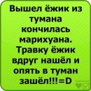 Ігор Гальчук фотография #41 (источник - https://vk.com/id23102302)