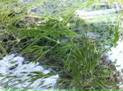 Иван Биченко фотография #4 (источник - https://vk.com/id2460107)