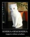 Фотография Ильича Алексея