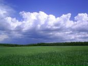 Анастасія Воловоденко фотография #1