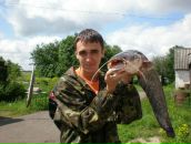 Фотография  