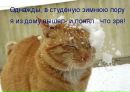 Сергій Богусевич фотография #29 (источник - https://vk.com/id63311509)