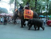 Francua *_*_* фотография #21 (источник - https://vk.com/id68343578)