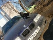 Фотография Ретунского Артёма