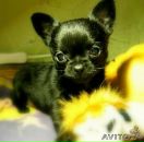 Фотография Хасановой Айгуль