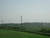 Міша Глушко фотография #11 (источник - https://vk.com/id136536157)