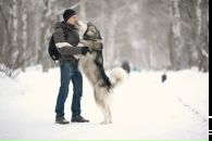 Фотография Торгашинов Фотографа Сергея