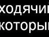 Ілля Гуль фотография #44 (источник - https://vk.com/id157210226)