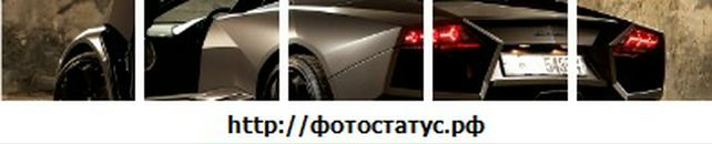 Віталік Нитипчук фотография #41 (источник - https://vk.com/id104930425)