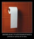 Серёга «пилот»™ фотография #37 (источник - https://vk.com/id138056348)