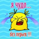 Анна Тимків фотография #43 (источник - https://vk.com/id133718333)