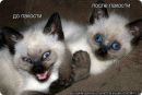 Ірина Демешкіна фотография #20 (источник - https://vk.com/id60720086)