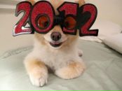 Фотография Рублёвой Светы