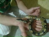 Василій Валович фотография #22 (источник - https://vk.com/id153556105)