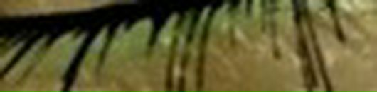 Зоряна Кушнір фотография #6 (источник - https://vk.com/id88556664)