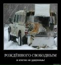 Надія Шпиль фотография #50 (источник - https://vk.com/id71877822)
