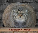 Міша Косицький фотография #32 (источник - https://vk.com/id151046172)