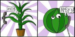 Фотография Пальчикова Антона