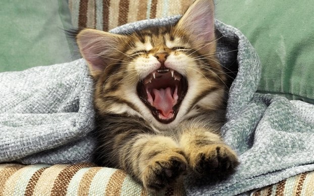 Дмитрий Белясник фотография #40