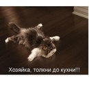 Дашутка Бабікова фотография #50 (источник - https://vk.com/id165368244)