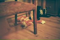 Фотография Гасановой Галины