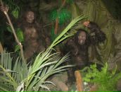 Алиса Романова фотография #2 (источник - https://vk.com/id1832474)