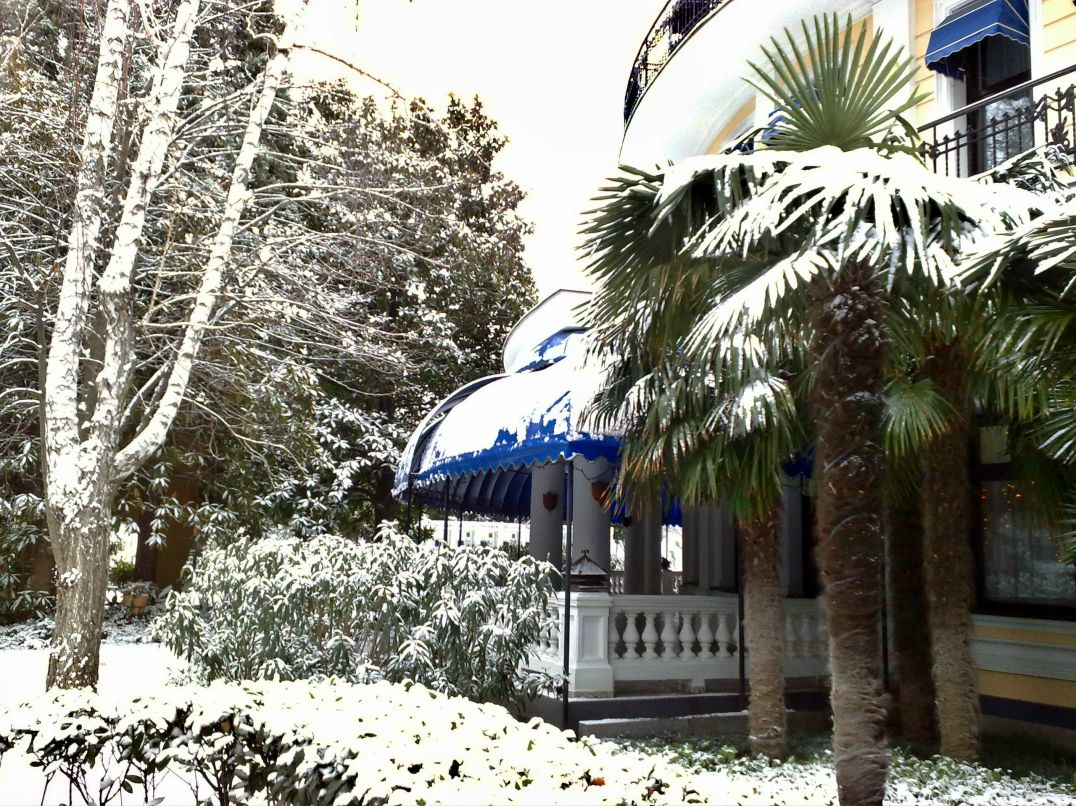 Дмитрий Синдели фотография #14