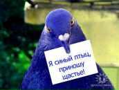 Фотография Чумаковой Светланы