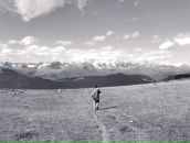 Фотография Bundaberg Peachee