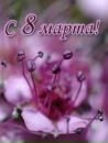 Андрій Хомич фотография #47 (источник - https://vk.com/id133157637)