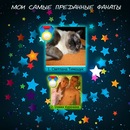 Андрій Коваль фотография #28 (источник - https://vk.com/id116192838)