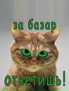 Вітя Лукей фотография #21 (источник - https://vk.com/id192786209)
