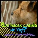 Фотография Лебедевой Ирэны