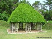 Fujiwara Yoshisuke фотография #35 (источник - https://vk.com/id1050866)