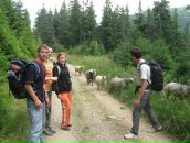 Діма Ардiлан фотография #18 (источник - https://vk.com/id39617581)