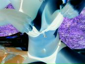 Фотография Медведев Василий