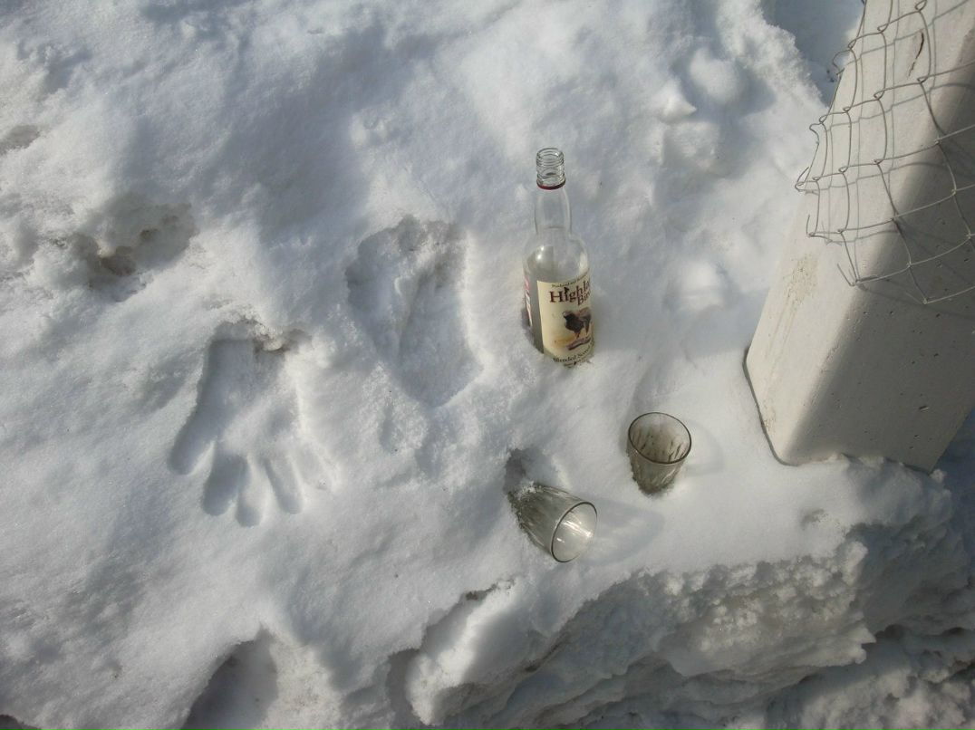 Денис Амплеев фотография #15