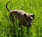 Валерия Κузнецова фотография #5 (источник - https://vk.com/id69026344)