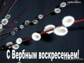 Фотография Ямбаевой Аленки