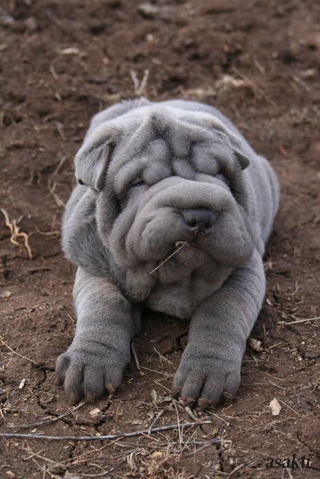 Daniil Slepchenko фотография #38