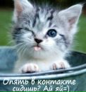 Іра Гапчин фотография #39 (источник - https://vk.com/id191689293)