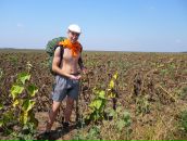 Николай Черников фотография #30 (источник - https://vk.com/id505187)