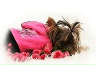 Фотография Акинфиной Анастасии