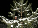 Андрій Гардий фотография #24 (источник - https://vk.com/id132624337)